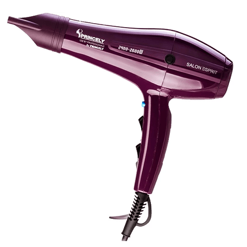 سشوار حرفه ای پرنسلی مدل PR250AT